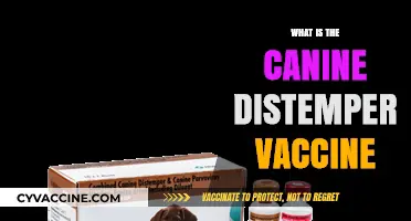 Understanding the Canine Distemper Vaccine: Protecting Your Dog's Health