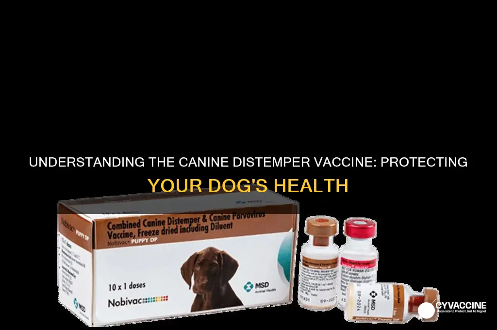what is the canine distemper vaccine