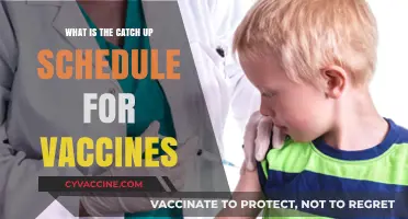 Catch Up on Vaccines: A Guide to Missed Immunization Schedules