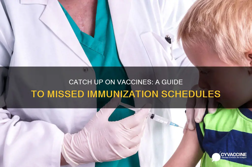 what is the catch up schedule for vaccines