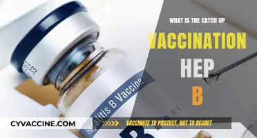 Understanding Hepatitis B Catch-Up Vaccination: Essential Steps for Protection
