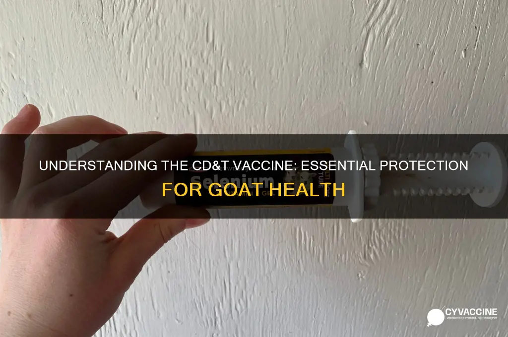 what is the cd and t vaccine for a goat