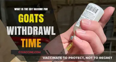 CDT Vaccine for Goats: Understanding Withdrawal Time and Safety