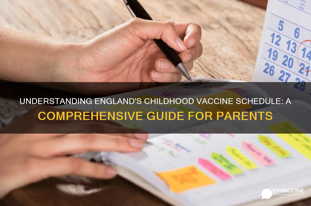 what is the childhood vaccine scedule in england
