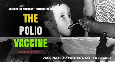 Cincinnati's Role in the Polio Vaccine: A Historical Connection