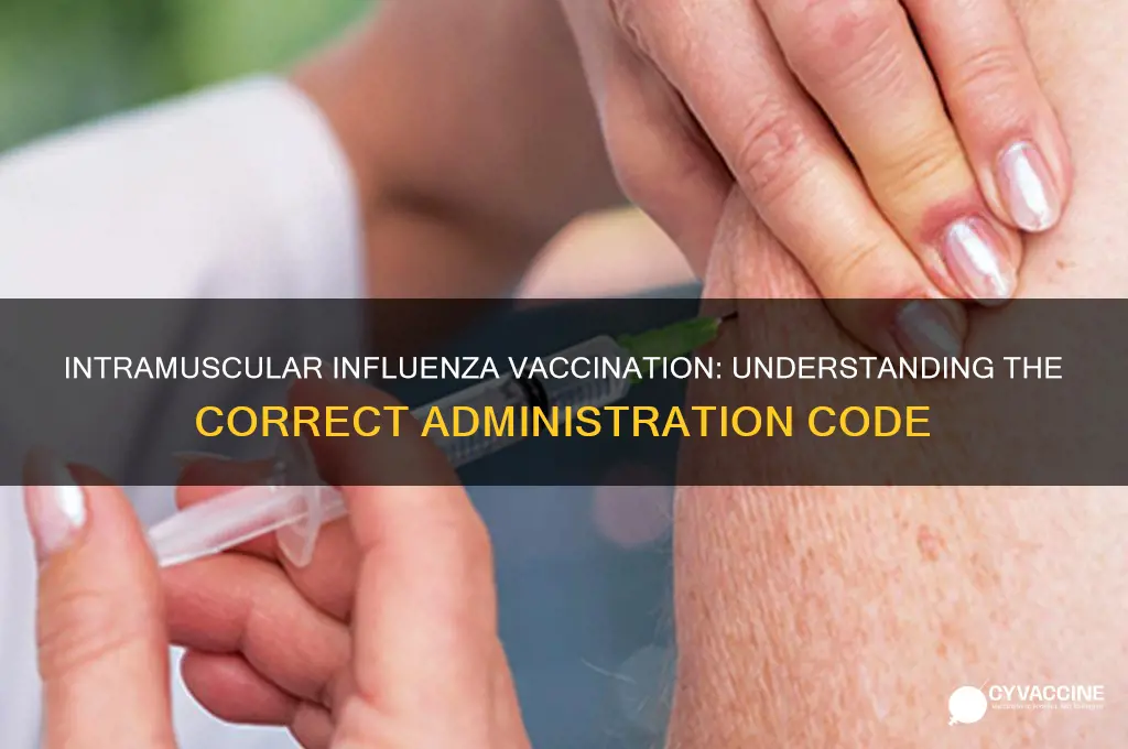 what is the code for intramuscular vaccination for influenza