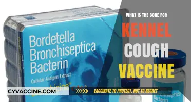 Understanding Kennel Cough Vaccine Code: A Comprehensive Guide for Pet Owners