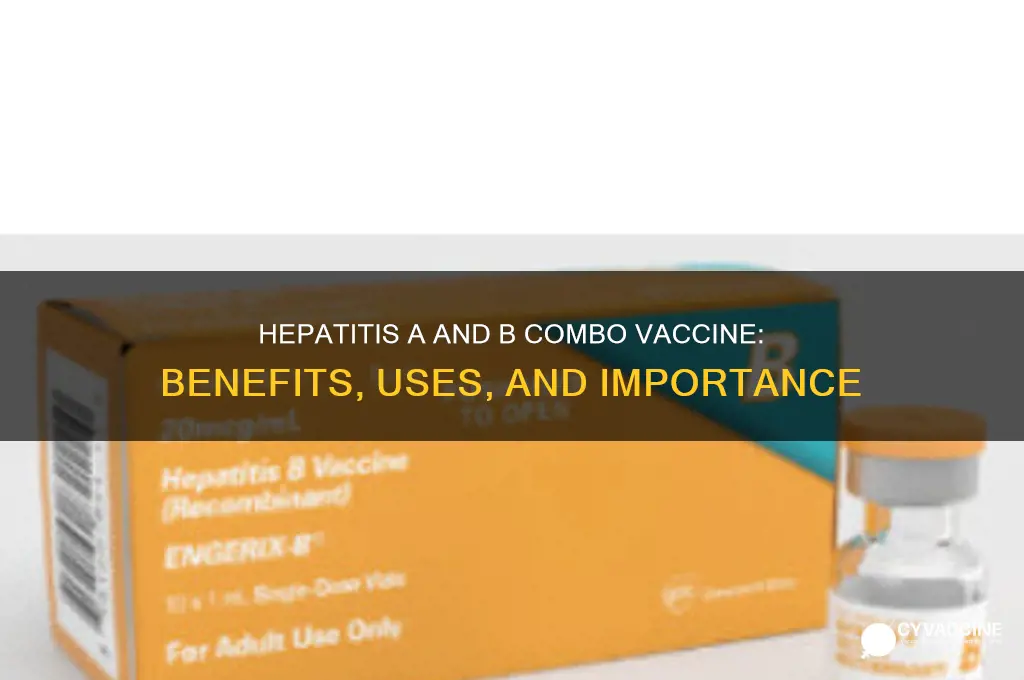 what is the combination hepatitis a and b vaccine