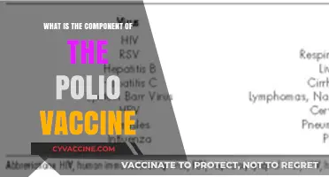 Understanding the Key Components of the Polio Vaccine: A Breakdown