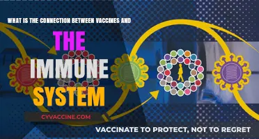 Vaccines and Immunity: How They Strengthen Your Body's Defense