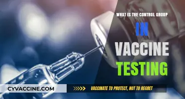 Understanding Control Groups: Key Role in Vaccine Testing Explained