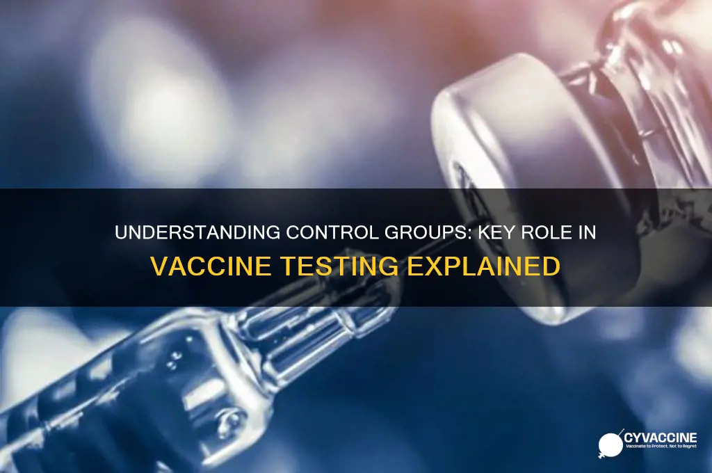 what is the control group in vaccine testing