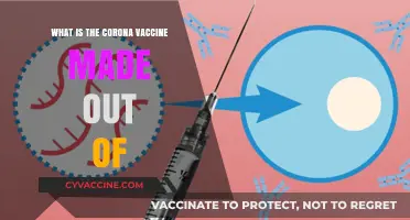 Understanding the Ingredients: What's Inside the COVID-19 Vaccine?