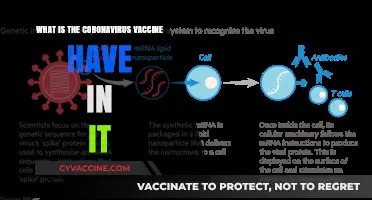 Understanding the Ingredients in the Coronavirus Vaccine: A Detailed Breakdown