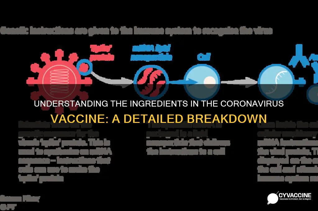 what is the coronavirus vaccine have in it