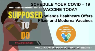Understanding the Coronavirus Vaccine: Its Purpose and Protective Role