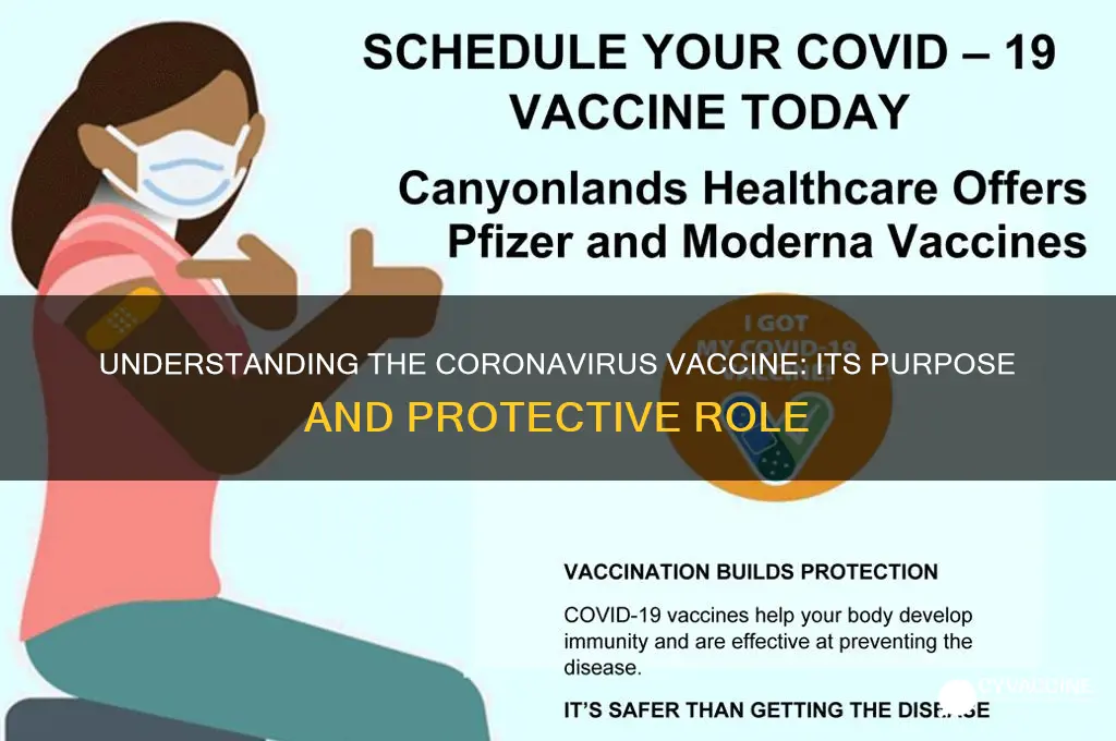 what is the coronavirus vaccine supposed to do