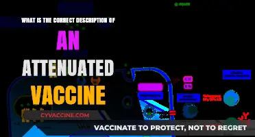 Understanding Attenuated Vaccines: A Comprehensive Description and Mechanism Explained