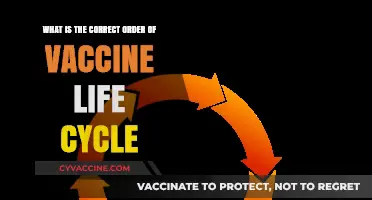 Understanding the Sequential Stages of a Vaccine's Life Cycle