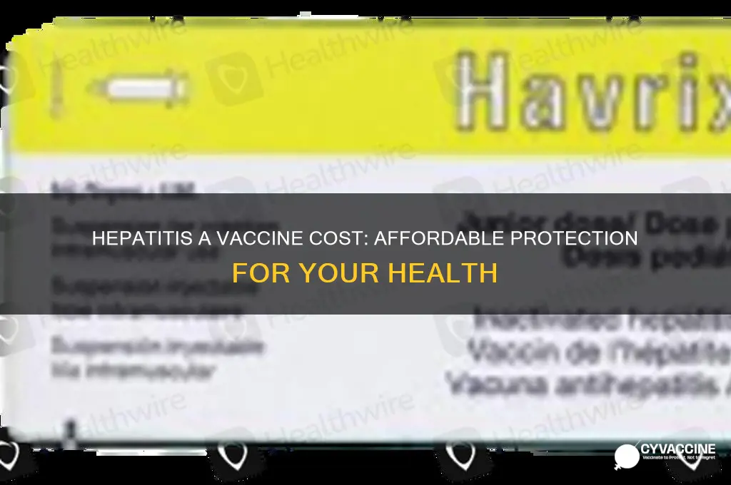 what is the cost of a hepatitis a vaccine