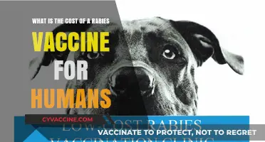 Rabies Vaccine Cost for Humans: What You Need to Know