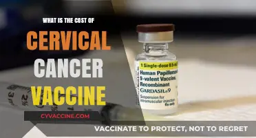 Cervical Cancer Vaccine Cost: Affordable Prevention for Long-Term Health