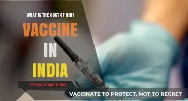 H1N1 Vaccine Cost in India: Affordable Protection for All