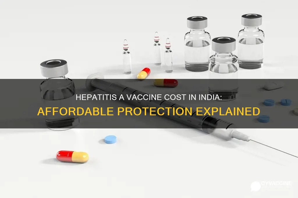 what is the cost of hepatitis a vaccine in india