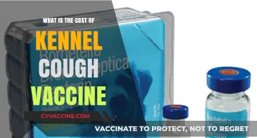 Kennel Cough Vaccine Cost: What Pet Owners Need to Know