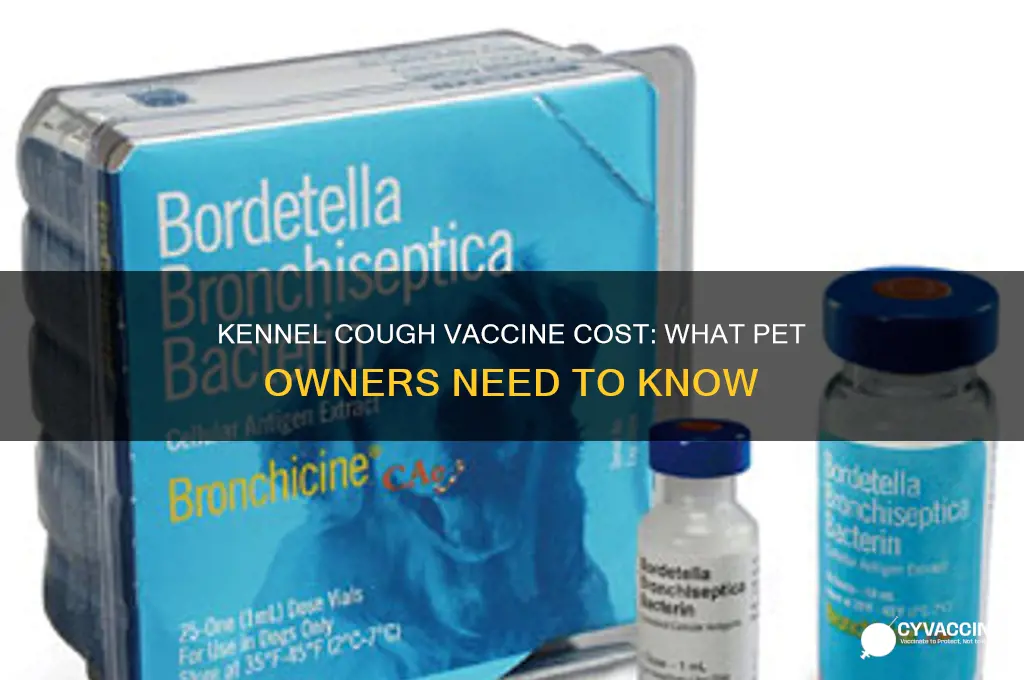 what is the cost of kennel cough vaccine