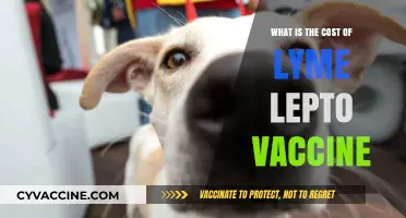 Understanding the Cost of Lyme Lepto Vaccine for Your Pet