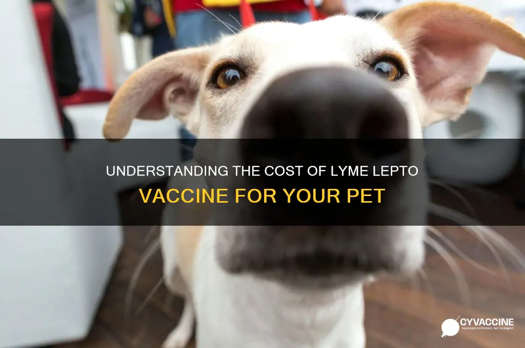 what is the cost of lyme lepto vaccine