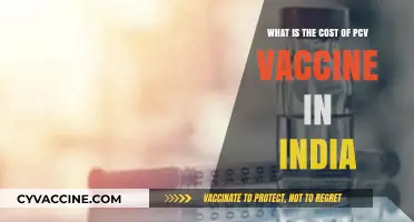 PCV Vaccine Cost in India: Affordable Protection for Children