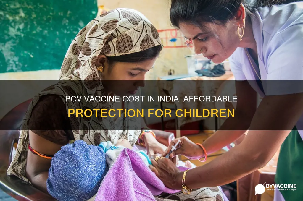 what is the cost of pcv vaccine in india