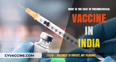 Pneumococcal Vaccine Cost in India: Affordable Protection for All