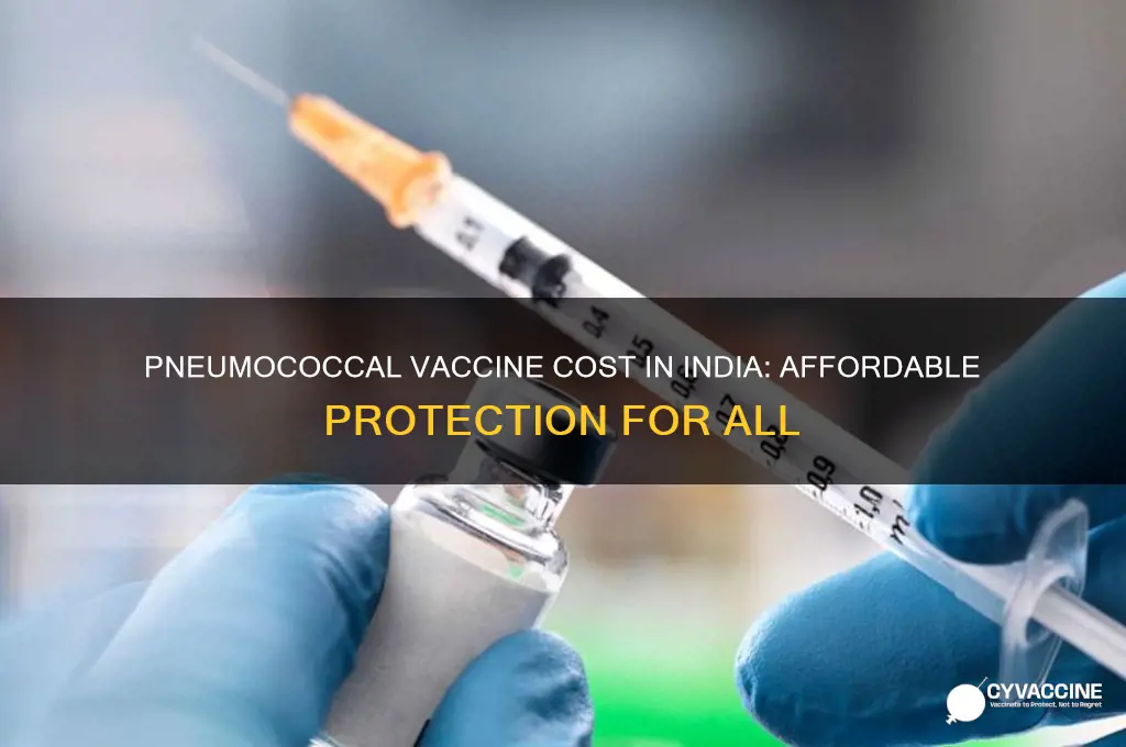 what is the cost of pneumococcal vaccine in india