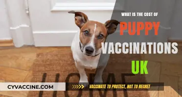 Puppy Vaccination Costs in the UK: What to Expect