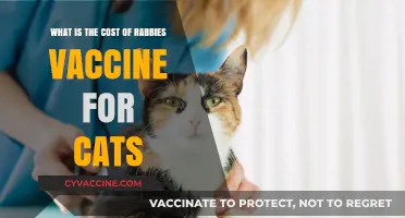 Understanding the Cost of Rabies Vaccines for Cats: A Guide