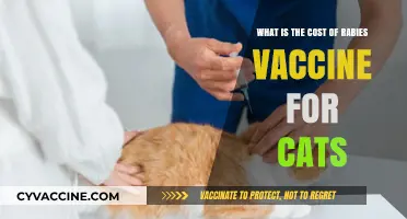 Rabies Vaccine Cost for Cats: Essential Protection and Pricing Guide
