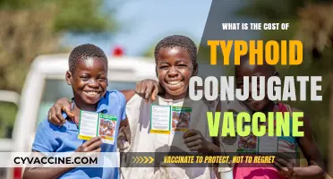 Understanding the Cost of Typhoid Conjugate Vaccine: A Comprehensive Guide
