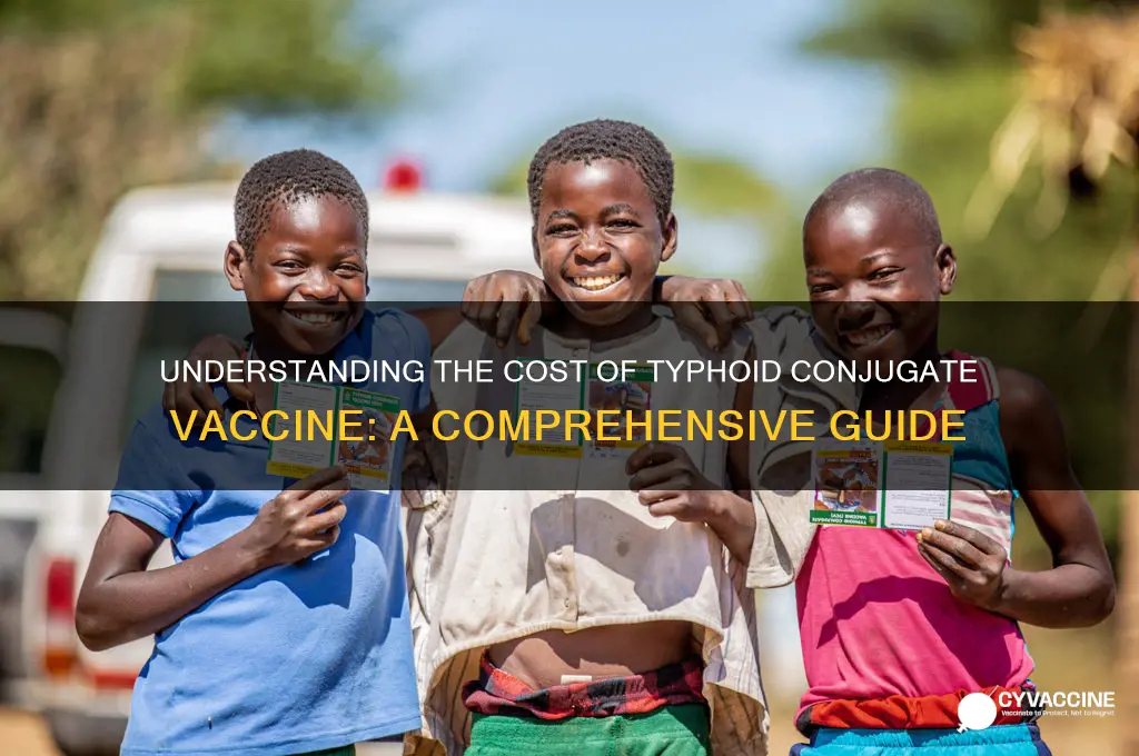 what is the cost of typhoid conjugate vaccine
