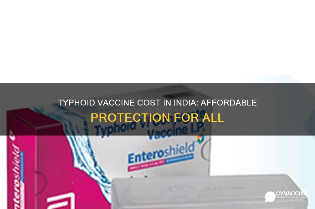 what is the cost of typhoid vaccine in india