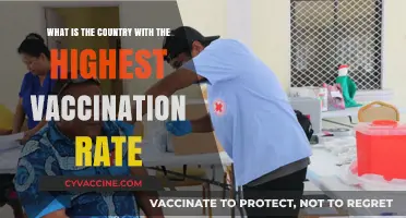 Global Vaccination Leader: Which Country Tops the Immunization Chart?