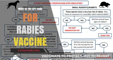 Understanding the CPT Code for Rabies Vaccine Administration