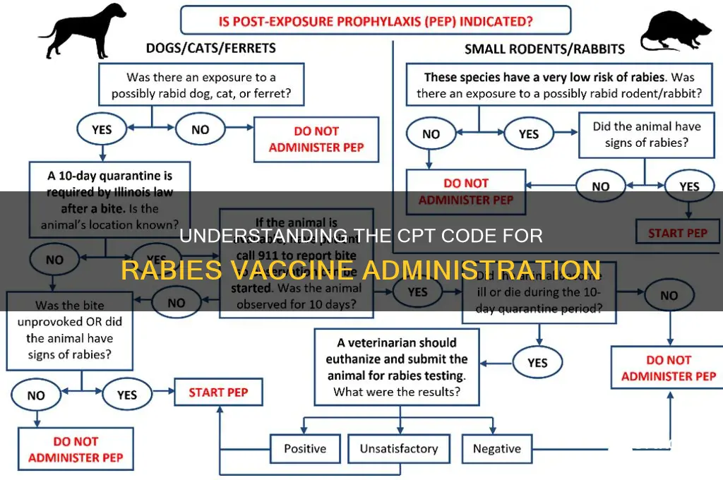 what is the cpt code for rabies vaccine