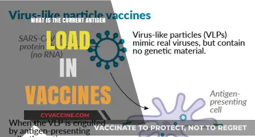 Understanding Current Antigen Load in Vaccines: Safety and Efficacy Explained