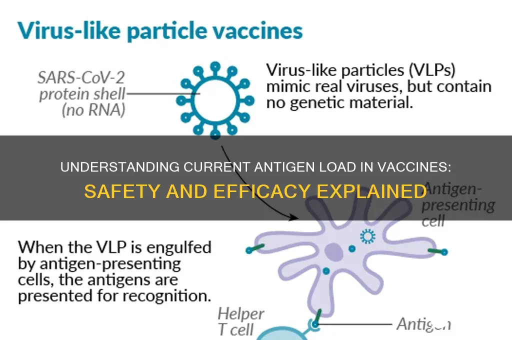 what is the current antigen load in vaccines
