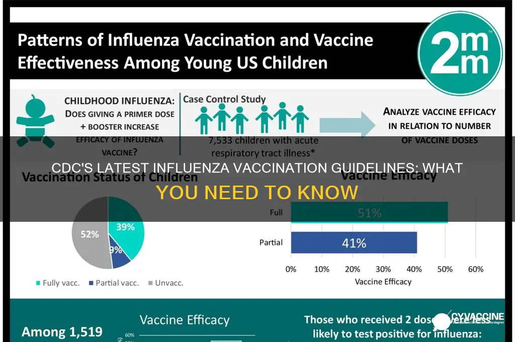 what is the current cdc recommendation for influenza vaccination