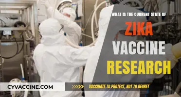 Zika Vaccine Research: Current Progress, Challenges, and Future Prospects