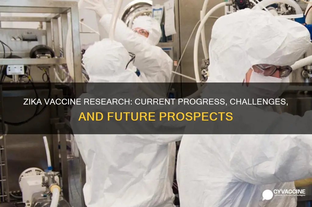 what is the current state of zika vaccine research